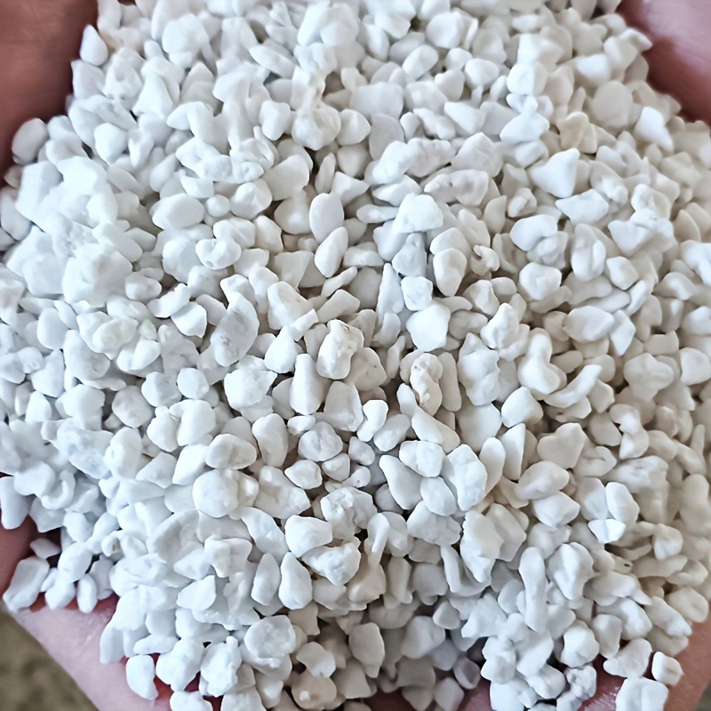 1 Pack of 3-6mm Horticultural  - Tissue Culture Plant 评论和价格