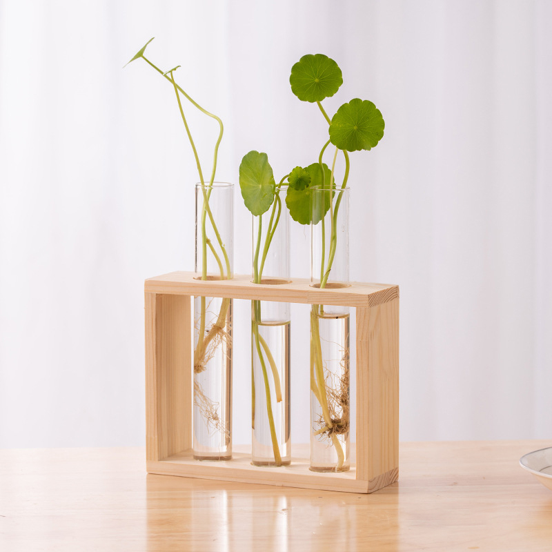 Hydroponic Plants Container wi - Tissue Culture Plant 评论和价格