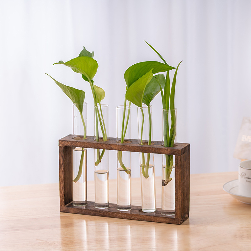 Hydroponic Plants Container wi - Tissue Culture Plant 评论和价格