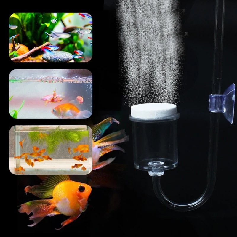4pcs Set DIY CO2 Diffuser For  - Aquarium Plant Order 评论和价格