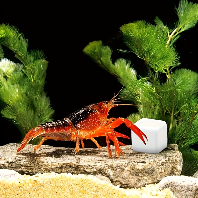 6 Pcs Fish Tank Calcium Block  - Aquarium Plant Growth 评论和价格