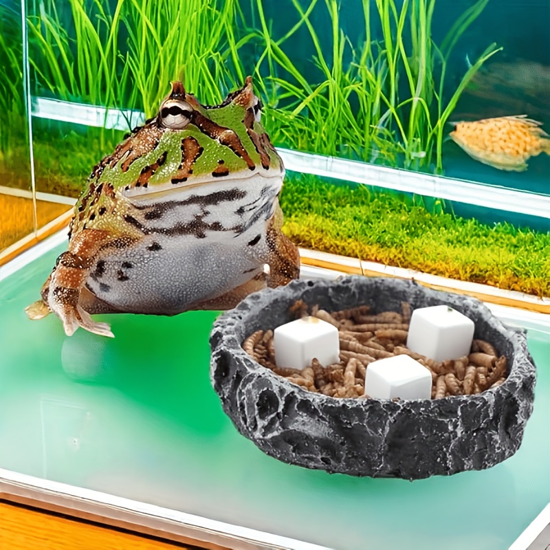6 Pcs Fish Tank Calcium Block  - Aquarium Plant Growth 评论和价格