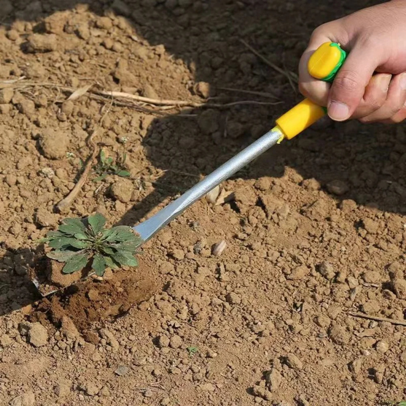 1pc T Shaped Spade Stainless S - Tissue Culture Plant 评论和价格